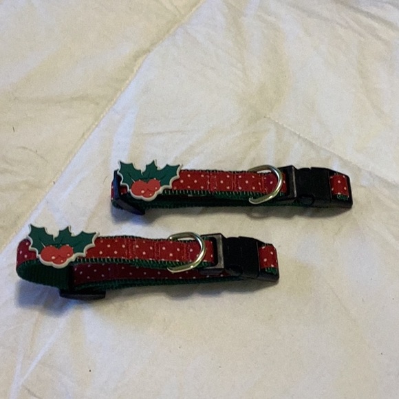 Dog or Cat Collars. - Picture 1 of 3